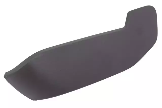 22964637 - Body: Outer Finish Panel for Buick: Enclave Image