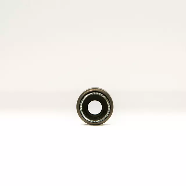 Valve Seals - Honda (12210-PZ1-004)