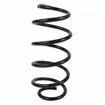 GN1Z5310E - : Coil Spring for Ford: EcoSport Image