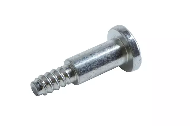 Horn Contact Bolt - GM (13276838)