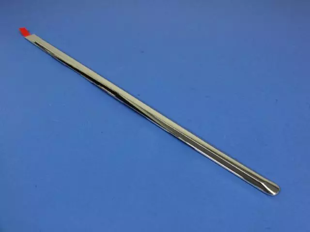 Rear Door Molding, Left - Mopar (4806351AB)