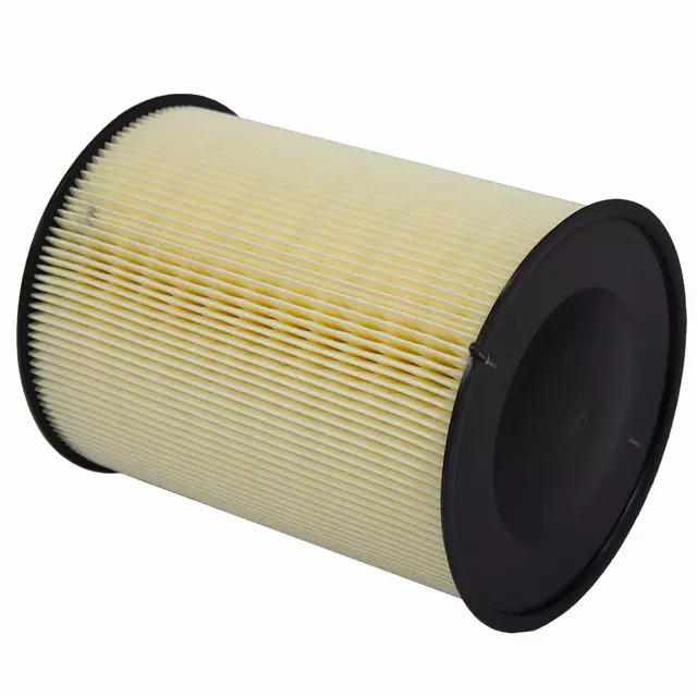 Engine Air Filter - Ford (CV6Z-9601-A)