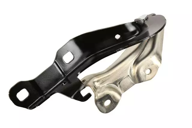 25978498 - Body: Hinge for Chevrolet: Volt Image