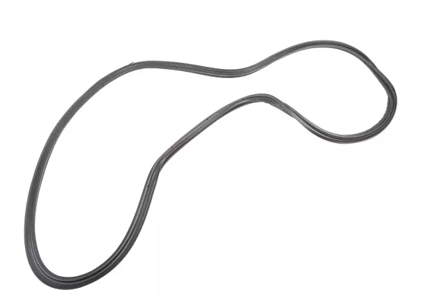 39147376 - : Body Weather-Strip for Buick: Regal TourX Image