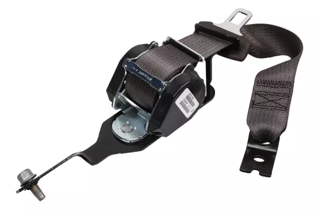 19180019 - Electrical: Outer Belt Assembly for Chevrolet: Malibu Image