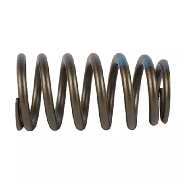 Valve Springs - Ford (BC3Z-6513-A)