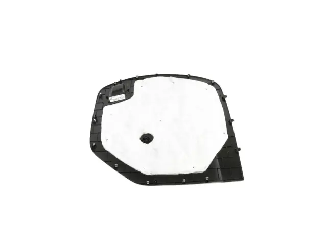 OEM NEW 2017-2021 Mopar Chrysler Voyager Pacifica Cargo Door Panel 5RK06DX9AG - Mopar (5RK06DX9AG)