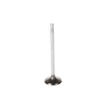 V5560 - : Stock Replacement Exhaust Valve for Melling Image