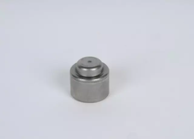 Manual Transmission Clutch Pilot Bearing - GM (24243421)
