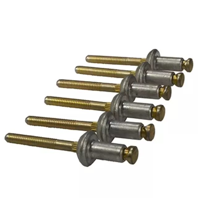 Rivet - Ford (W705528-S300)