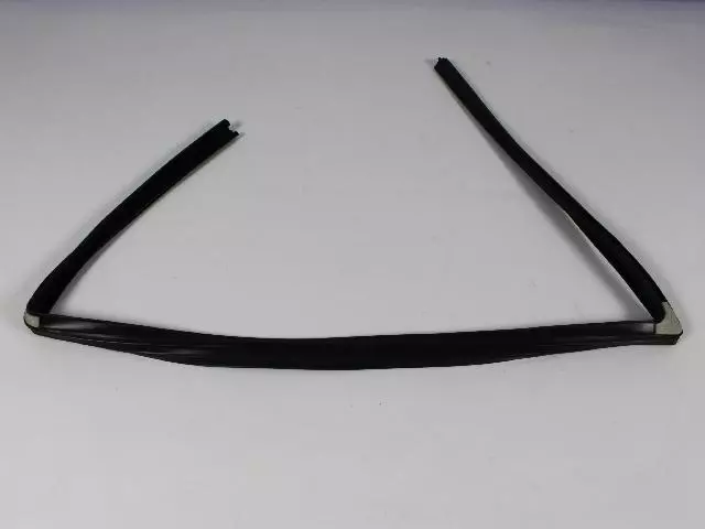 Front Door Glass Run, Left - Mopar (5065181ah)