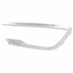 HP5Z15266AB - : Trim Molding for Lincoln: MKZ Image