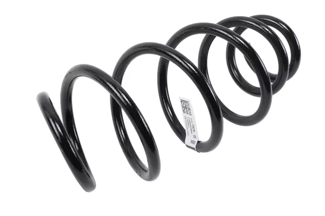 22787929 - Suspension: Spring for Buick: LaCrosse Image
