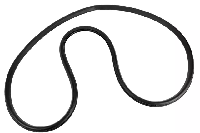 23271822 - Body: Weather-strip On Body for Chevrolet: Colorado | GMC: Canyon Image