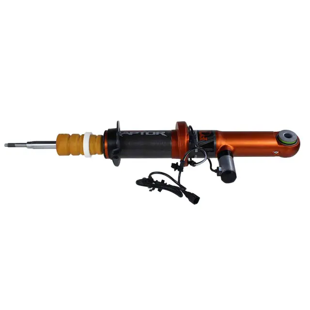 AST86080 - : Motorcraft™ Shock Absorber for Ford: F-150 Image