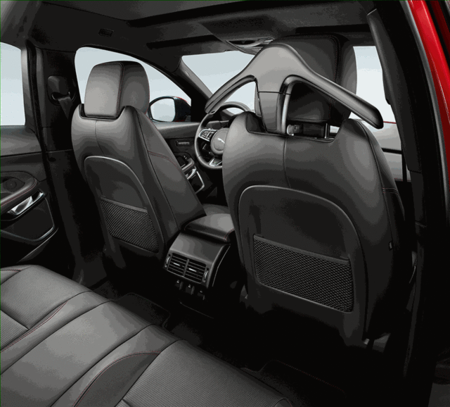 Click And Hang - Jaguar (J9C2167)