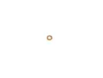 68447753AA - : Fuel Injector Seal for Mopar Image