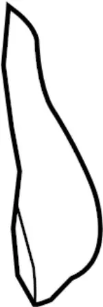 87611JJ70A - Body: Seat Back Pad for INFINITI: G37, Q60 Image