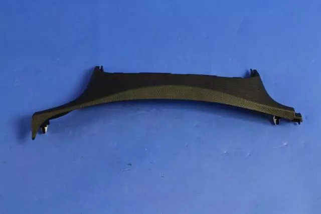 Instrument Panel Bezel - Mopar (1YJ19DX9AB)
