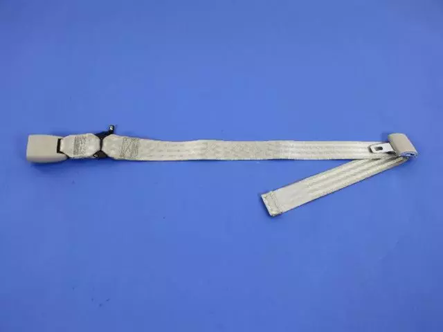 YZ591D1AA - Electrical: Buckle End for Chrysler: Town &amp; Country | Dodge: Caravan, Grand Caravan Image