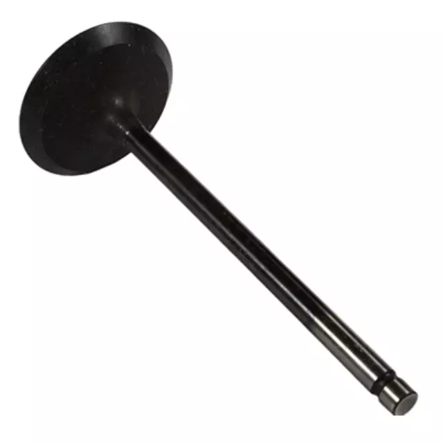 Intake Valve - Ford (AA5Z-6507-A)
