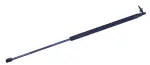 610233 - : Liftgate Lift Support for Tuff Support Image