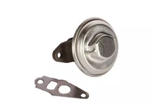 Exhaust Gas Recirculation (EGR) Valve Kit with Gasket - GM (19210677)