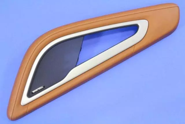 5QZ18HL1AA - Body: Door Armrest for SRT: Viper Image