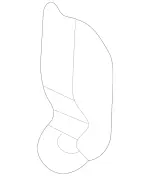 1633100088 - : Towing Eye for Mercedes-Benz Image