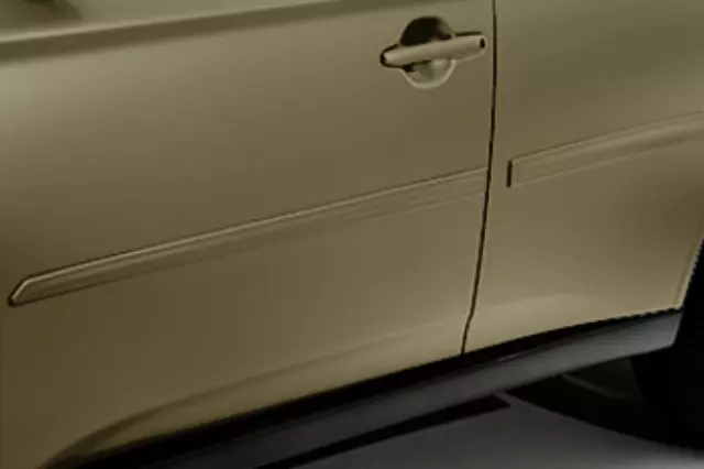 MZ315021 - Body: Body Side Molding, Brown for Mitsubishi Image