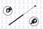 86341 - : Hood Lift Support for Focus Auto Parts Image