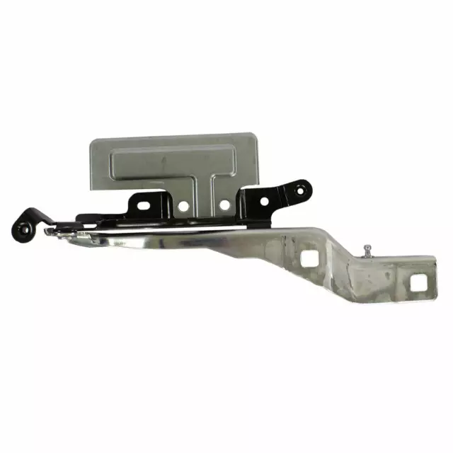 JL1Z16797A - Body: Hinge for Ford: Expedition | Lincoln: Navigator Image