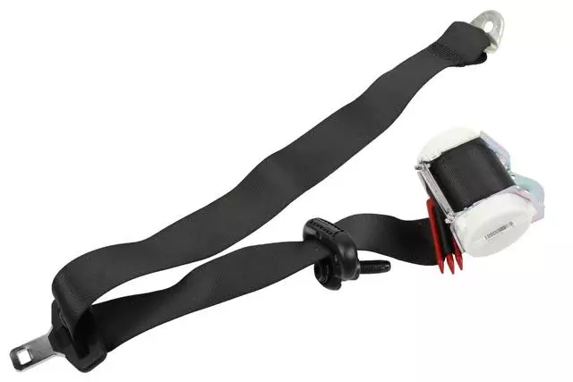 19204860 - Electrical: Outer Belt Assembly for Pontiac: G8 Image