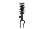 2355160L - : Focus Auto Parts Suspension Strut and Coil Spring Assembly for Focus Auto Parts Image