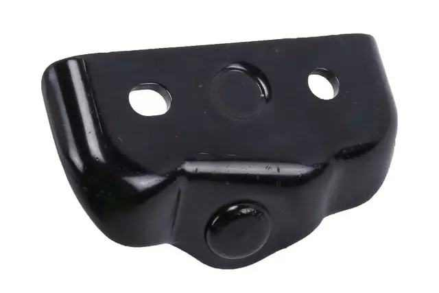 Support Strut Upper Bracket - GM (95429723)