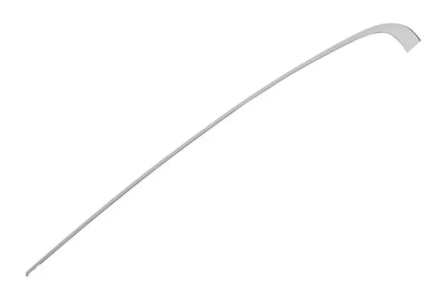 Reveal Molding - GM (20992790)