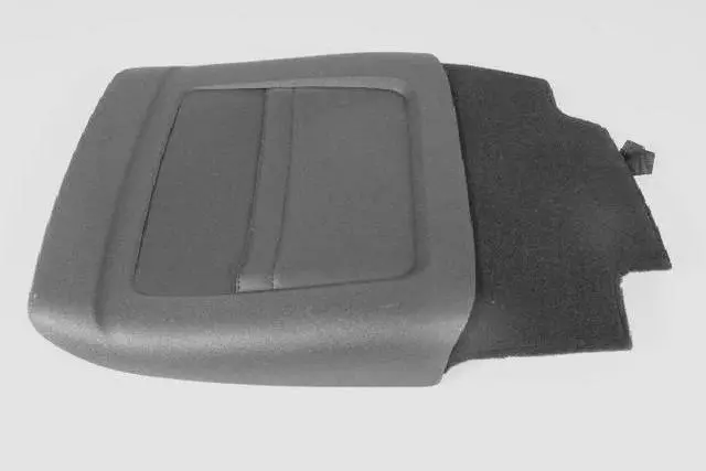 Front Seat Back Panel - Mopar (1UY02GT5AB)