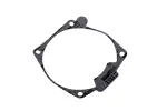 15864790 - Driveline and Axles: Rear Axle Housing Cover Seal for Chevrolet: Captiva Sport, Equinox | GMC: Terrain | Pontiac: Torrent | Saturn: Vue | Suzuki: XL-7 Image