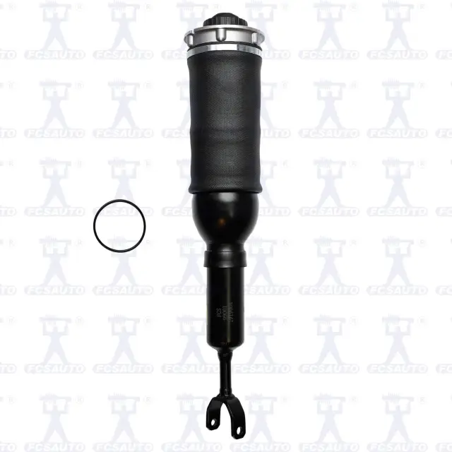 99001 - Suspension &amp; Steering: Focus Auto Parts Air Suspension Strut for Focus Auto Parts Image