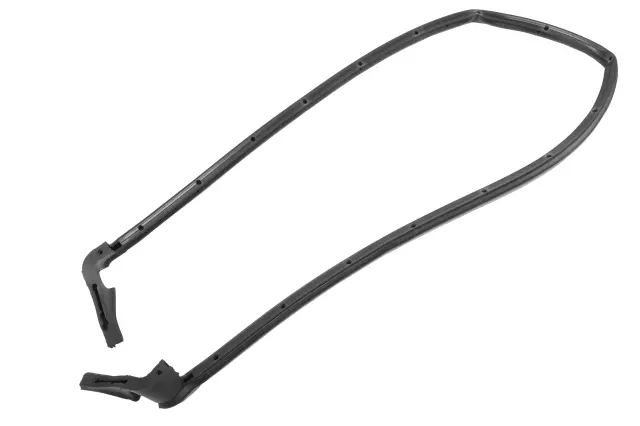 22845266 - Body: Rear Weather-strip for GM Image