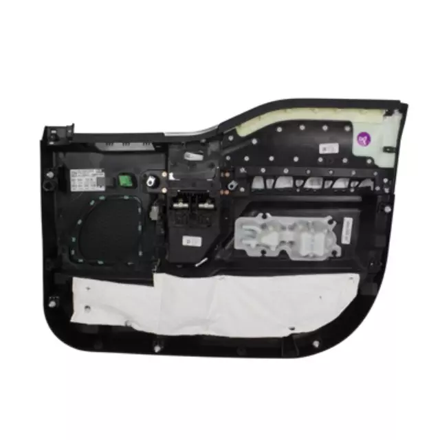 Panel Assembly Door Trim - Ford (JL3Z1823943RA)