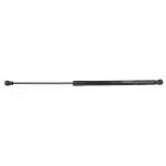 CP9Z54406A10A - : Trunk Lid Lift Support for Ford: Focus Image