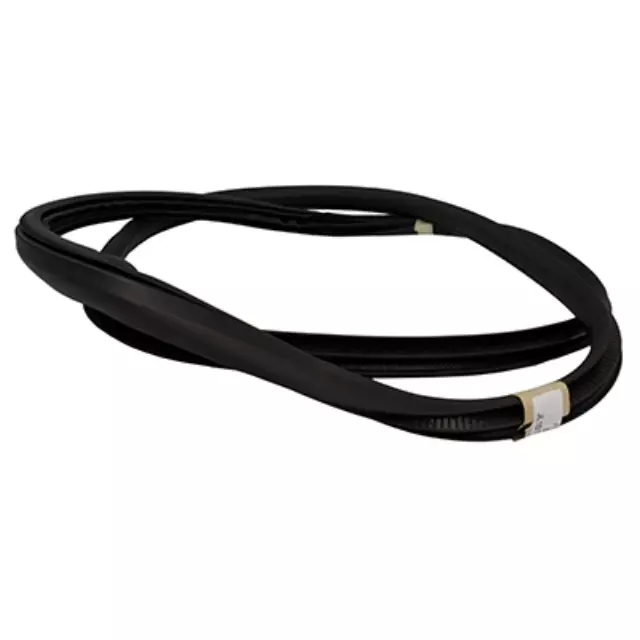 Weather-Strip On Body - Ford (JL1Z-78253A11-A)