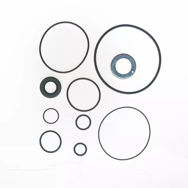 8526 - : PUMP SEAL KIT for Edelmann Image