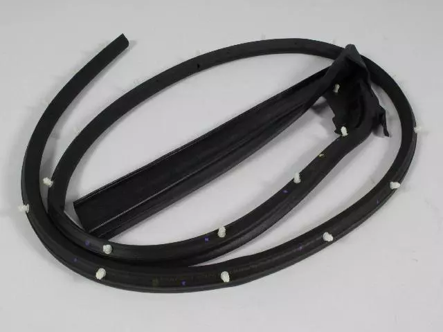 Front Door Mounted Weatherstrip, Right - Mopar (68067556AB)
