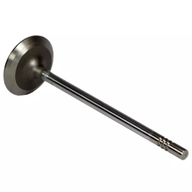 Intake Valve - Ford (BR3Z-6507-A)