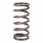 BE8Z6513C - Engine: Valve Springs for Ford Image