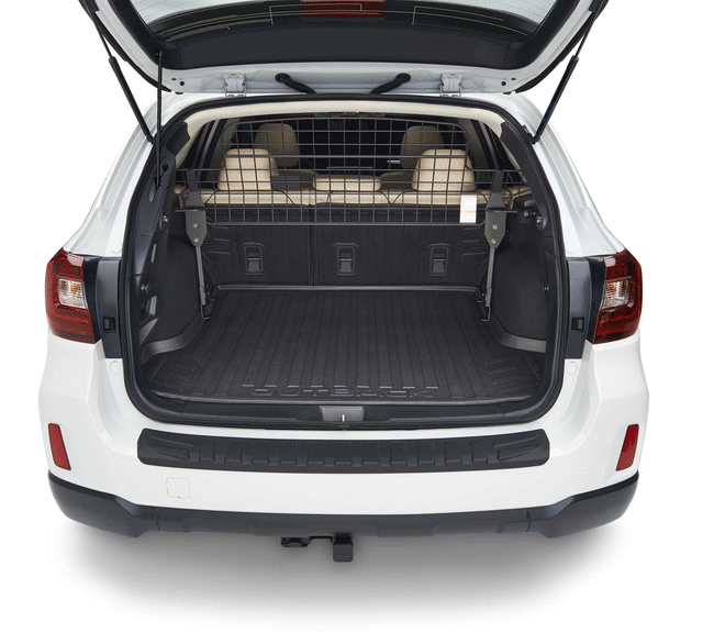 F551SAL700 - Interior: Compartment Separator for Subaru Image