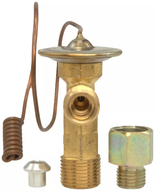 19189763 - : Air Conditioning Expansion Valve for GM Image