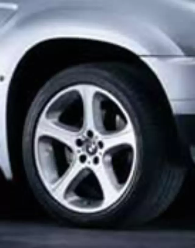 36116753516 - Suspension: Star Spoke 87 -  Front for BMW Image